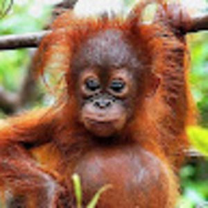 Meet your Posher, Luke